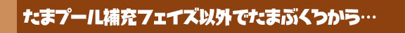 たまプール補充フェイズ以外でたまぶくろから…